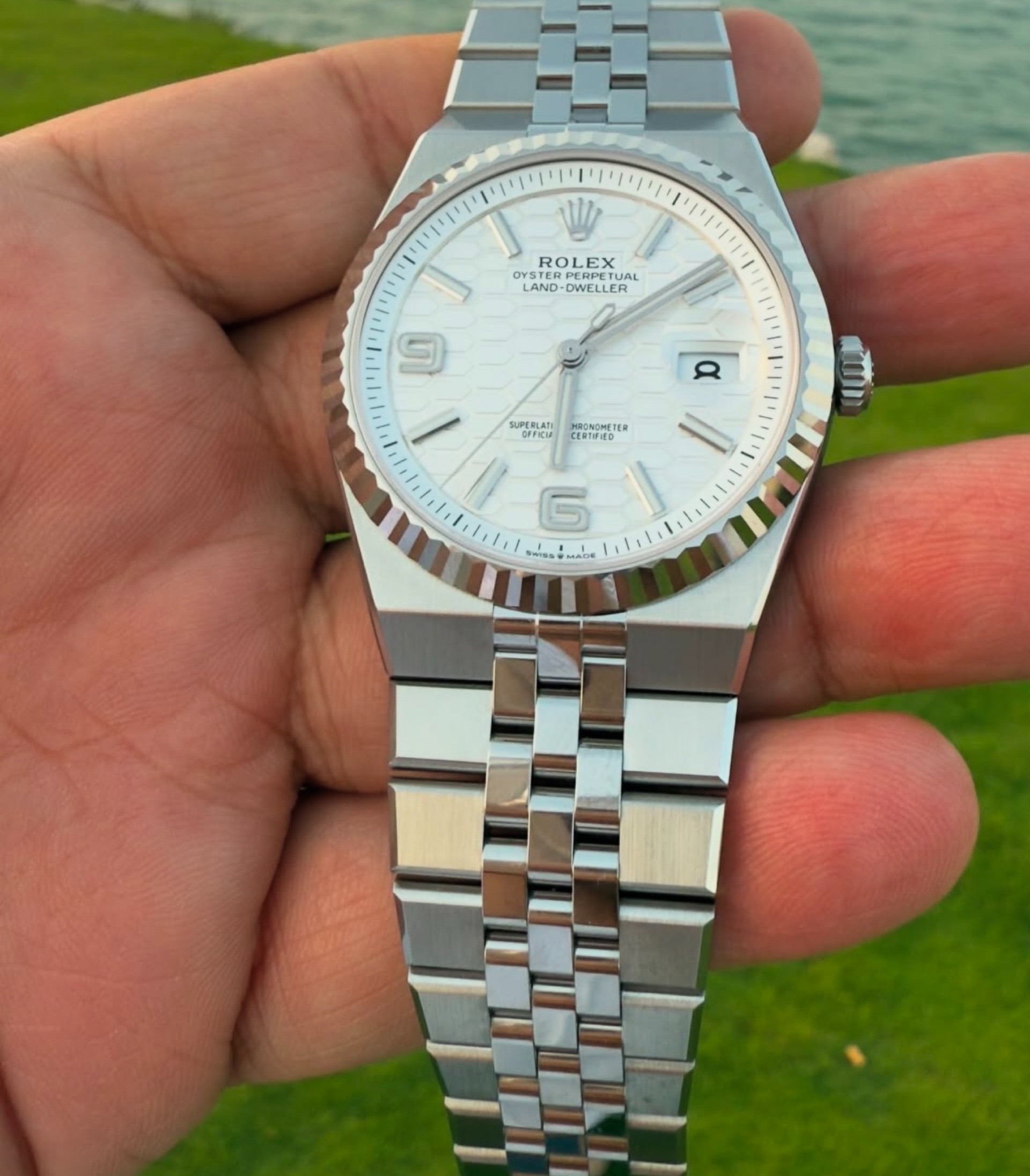Rolex Land-Dweller White Dial Oystersteel White Gold view 3