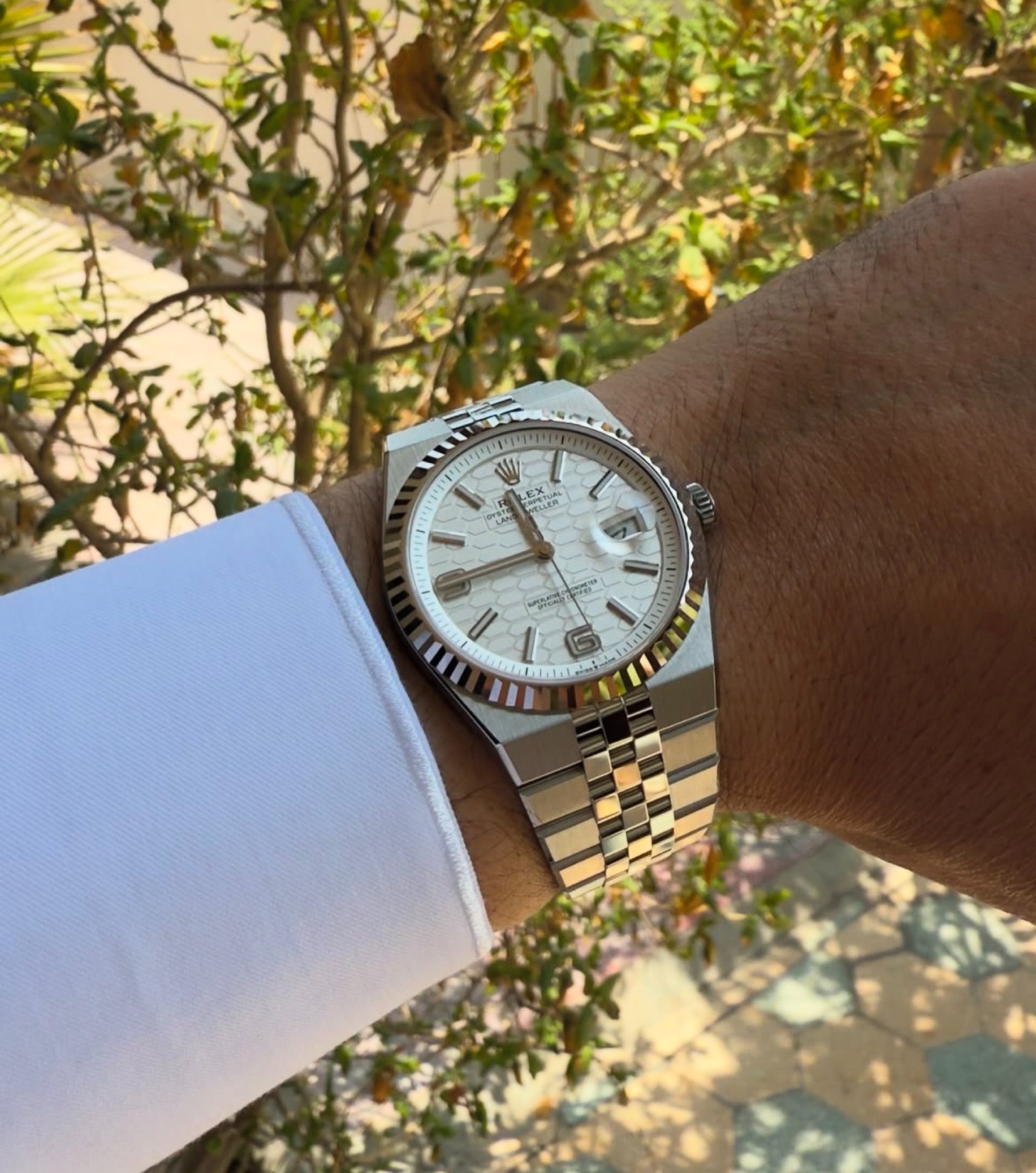 Rolex Land-Dweller White Dial Oystersteel White Gold view 2